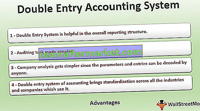 Double Entry Accounting System