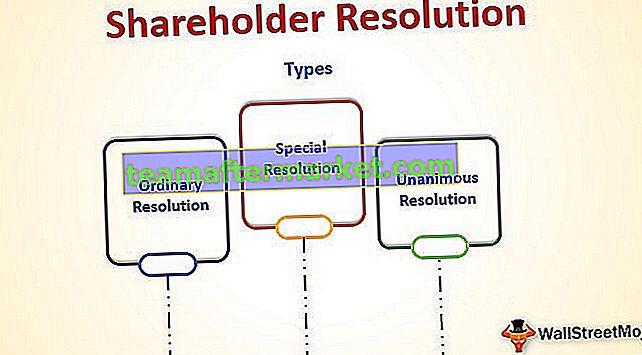 Risoluzione degli azionisti