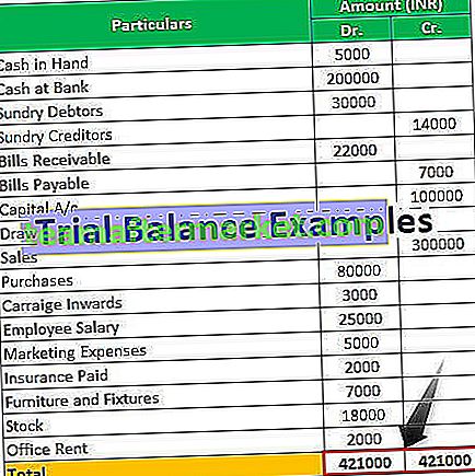 Voorbeelden van Trial Balance