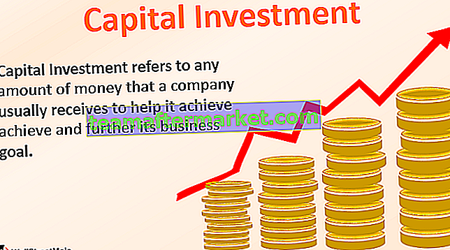 Investimento di capitale