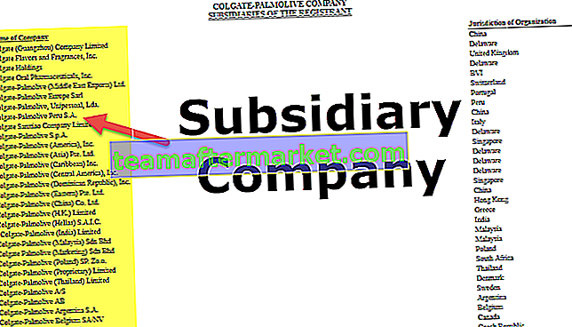 Compagnia sussidiaria