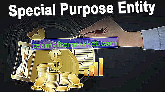 Special Purpose Entity (SPE)
