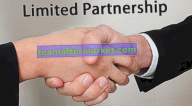 Limited Partnership (LP)
