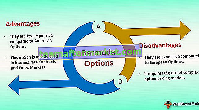 Opzioni Bermuda
