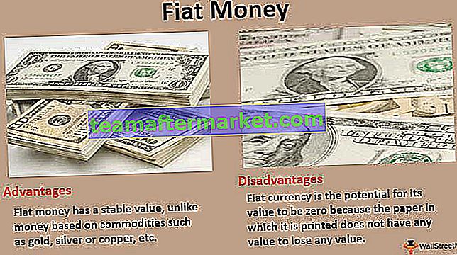 Fiat Geld