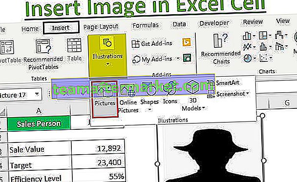 Inserisci un'immagine / immagine nella cella di Excel