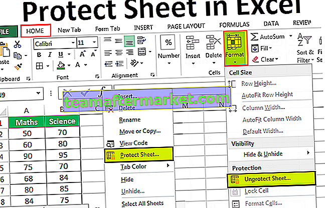 Protéger la feuille dans Excel