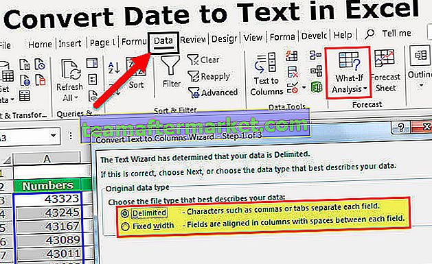 Converti la data in testo in Excel