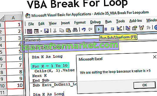 VBA Break For Loop