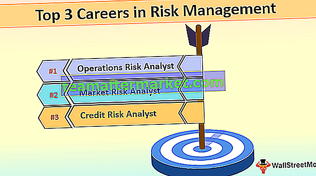Carriere nella gestione del rischio