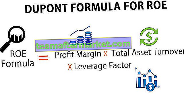 DuPont Formel