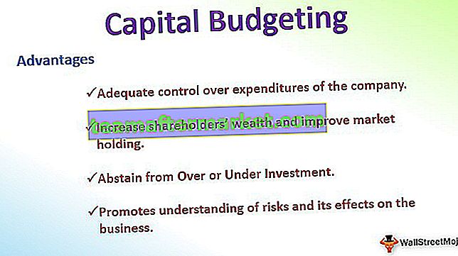 Kapitalbudgettering