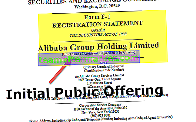 Initial Public Offering (IPO)