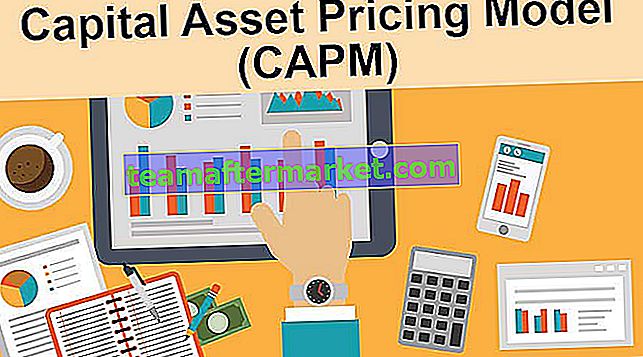 Capital Asset Pricing Model (CAPM)