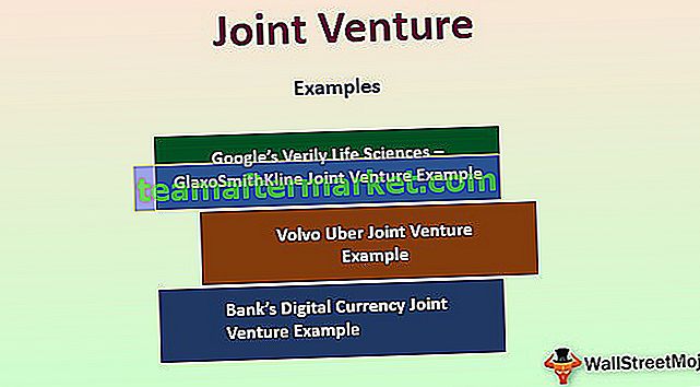 Joint Venture (JV)